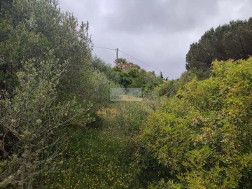 Terreno para Venda em Aljezur