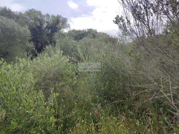 Terreno para Venda em Aljezur