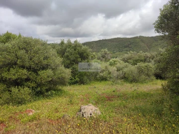 Terreno para Venda em Aljezur