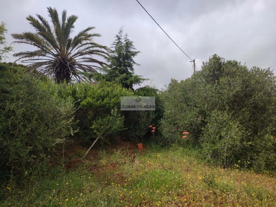 Terreno para Venda em Aljezur Foto 10