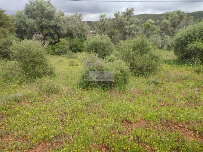 Terreno para Venda em Aljezur Foto 5