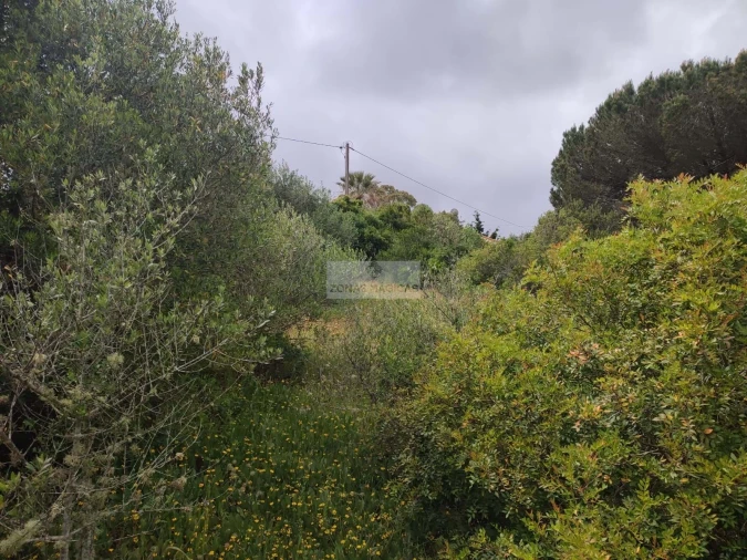 Terreno para Venda em Aljezur Foto 6