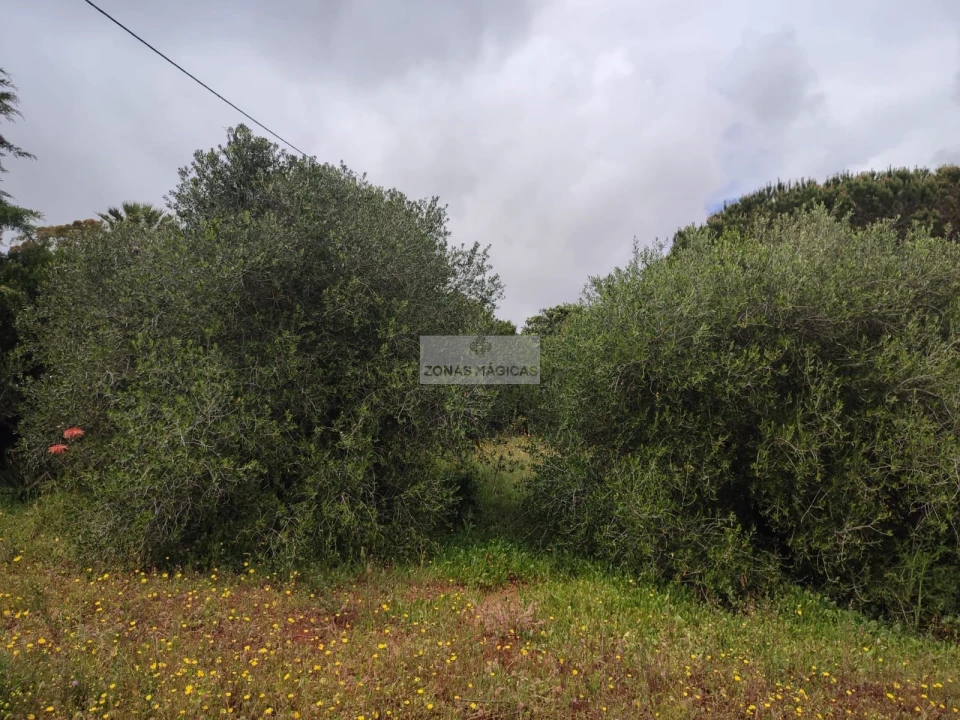 Terreno para Venda em Aljezur Foto 8