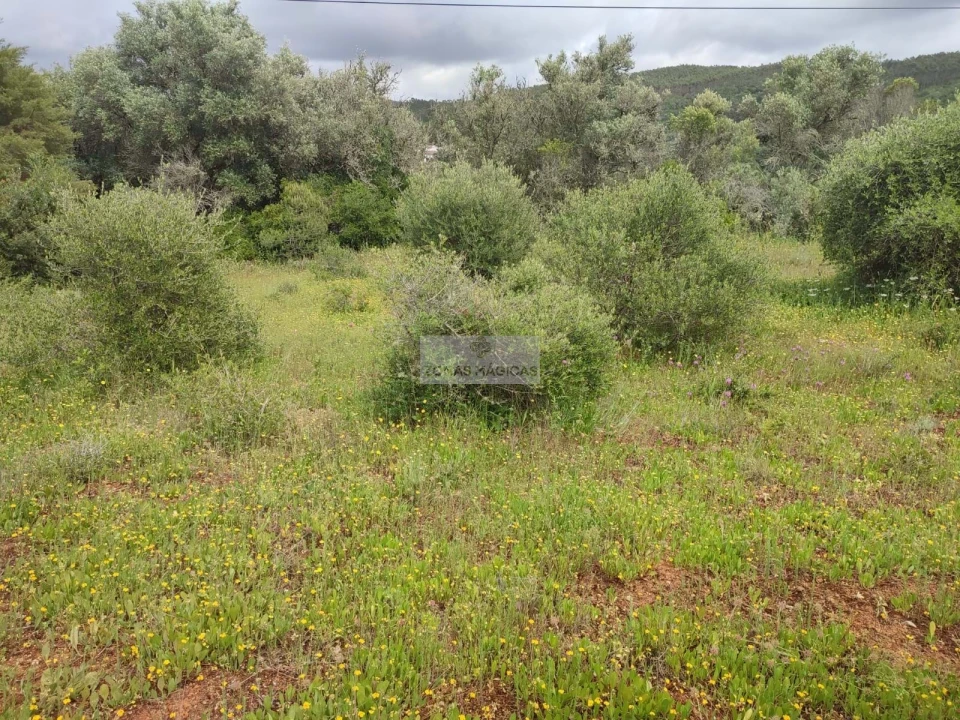Terreno para Venda em Aljezur Foto 5
