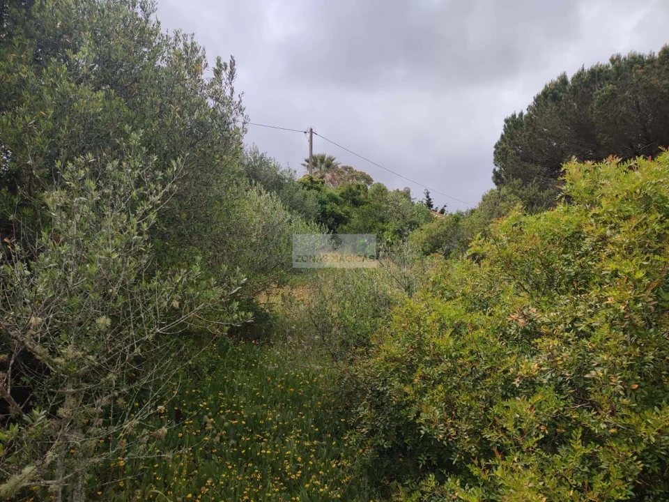 Terreno para Venda em Aljezur Foto 6