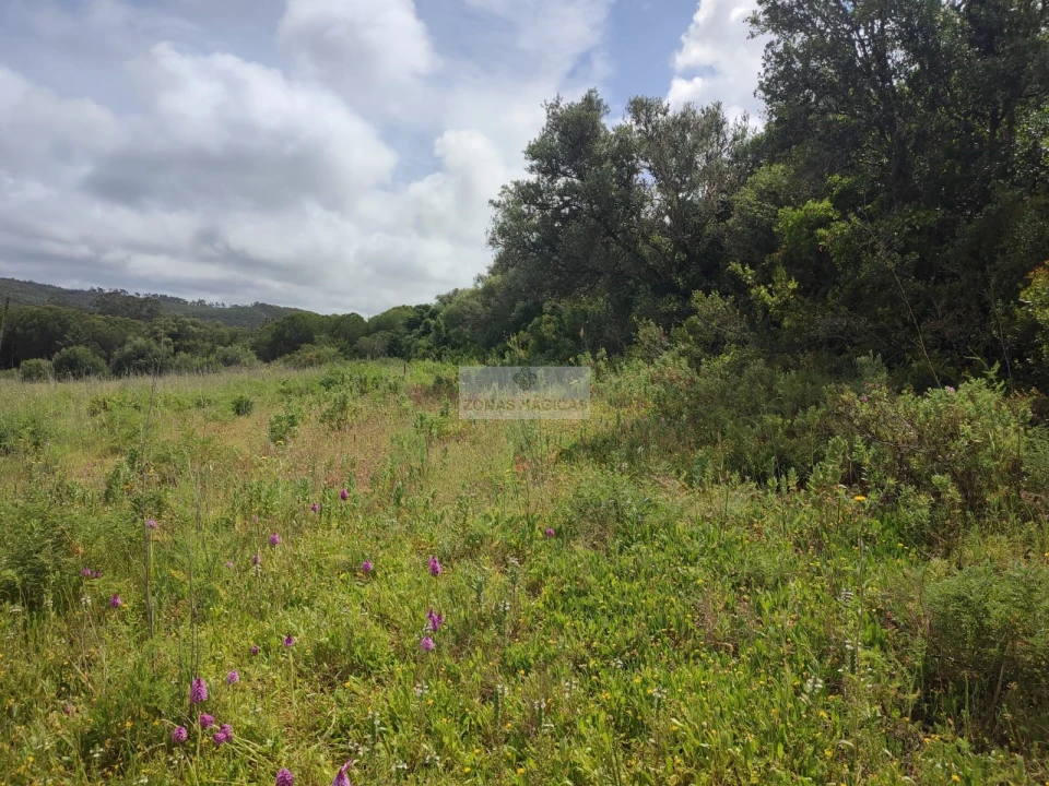 Terreno para Venda em Aljezur Foto 9
