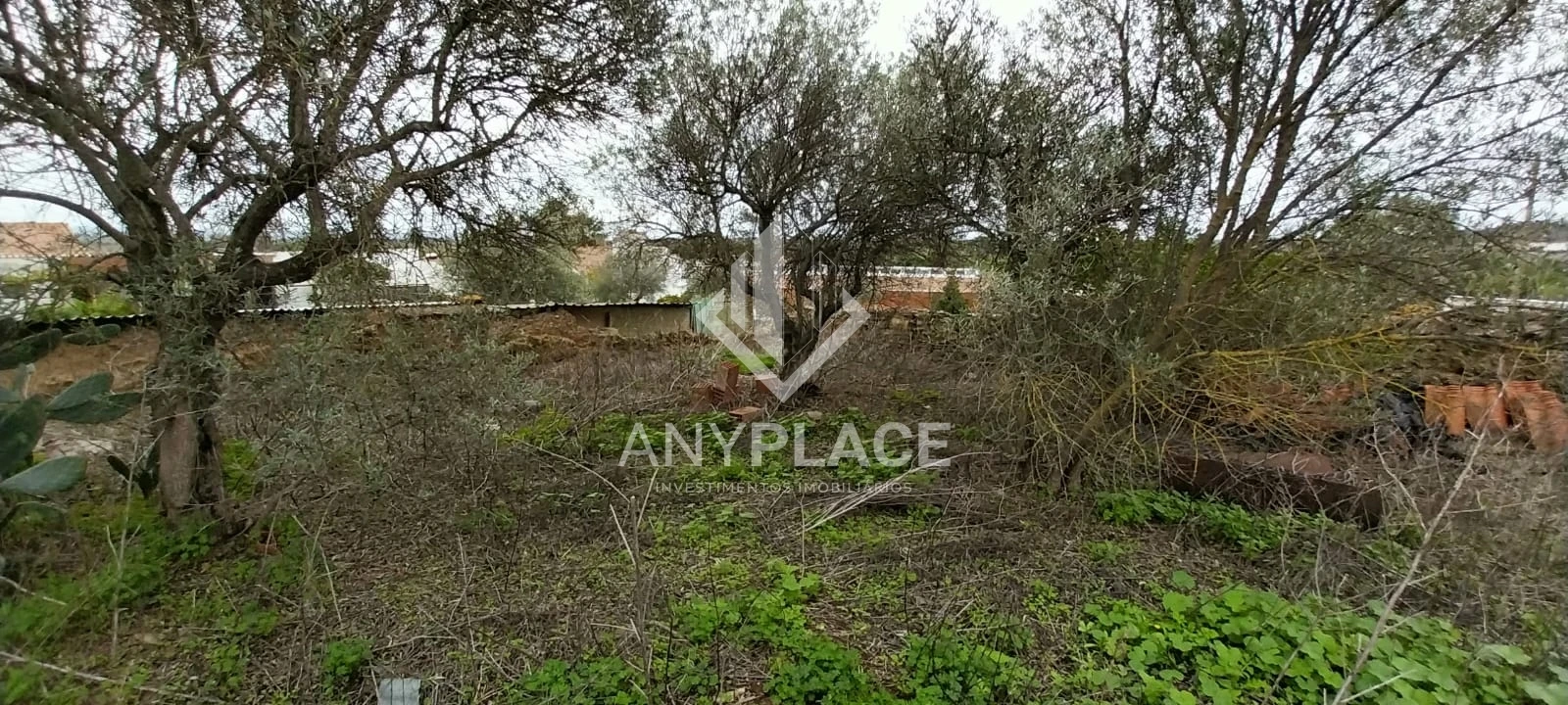 Terreno para Venda em Santana de Cambas Foto 6