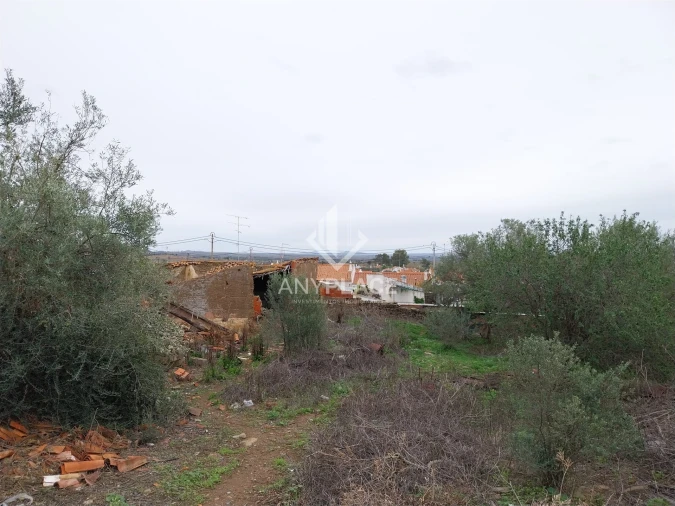 Terreno para Venda em Santana de Cambas Foto 18