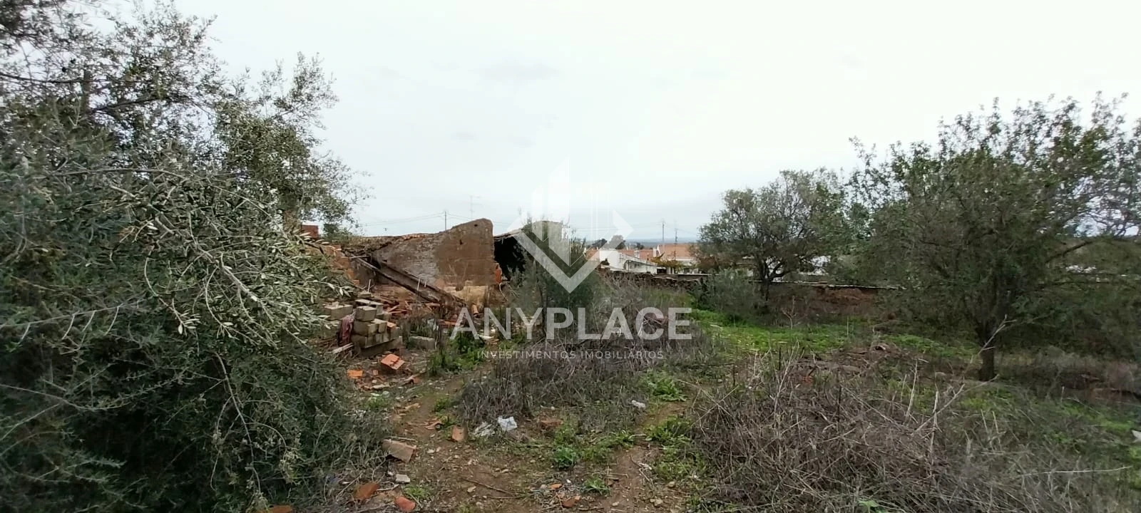 Terreno para Venda em Santana de Cambas Foto 11