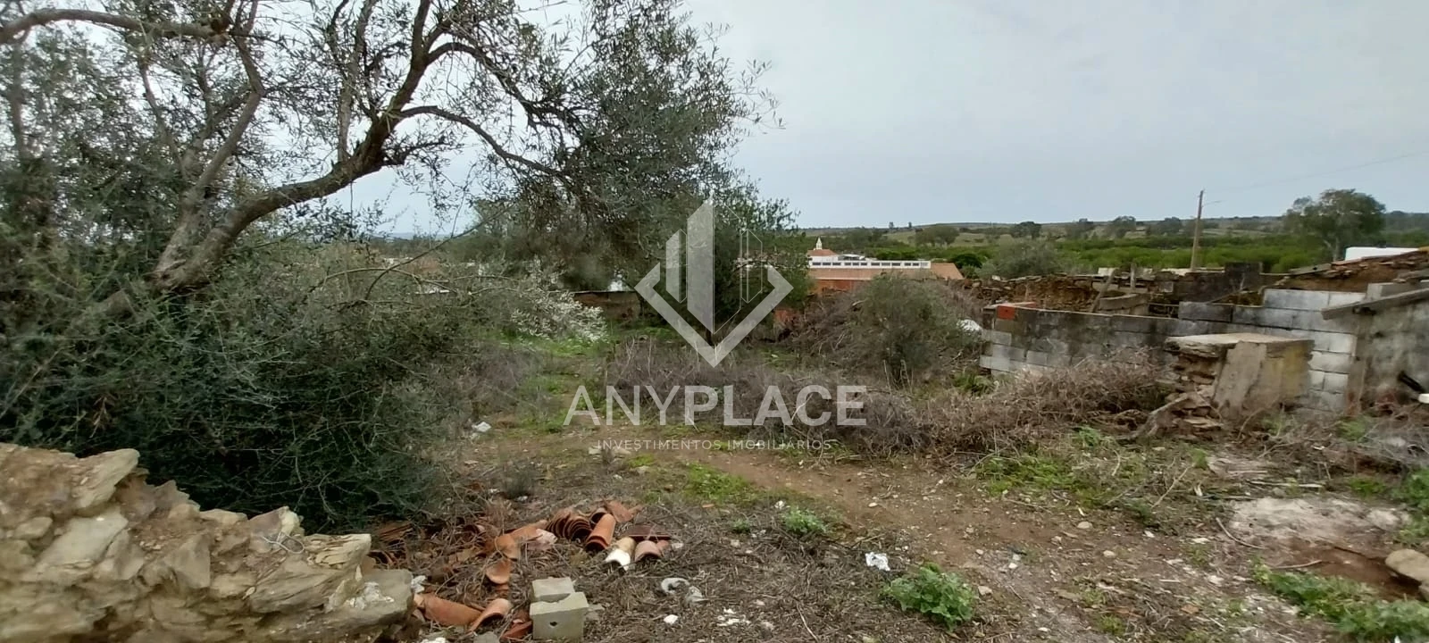 Terreno para Venda em Santana de Cambas Foto 9