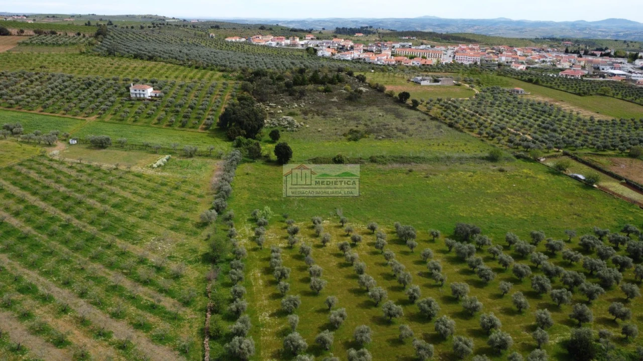 Quinta para Venda em Alfandega da Fe Foto 5