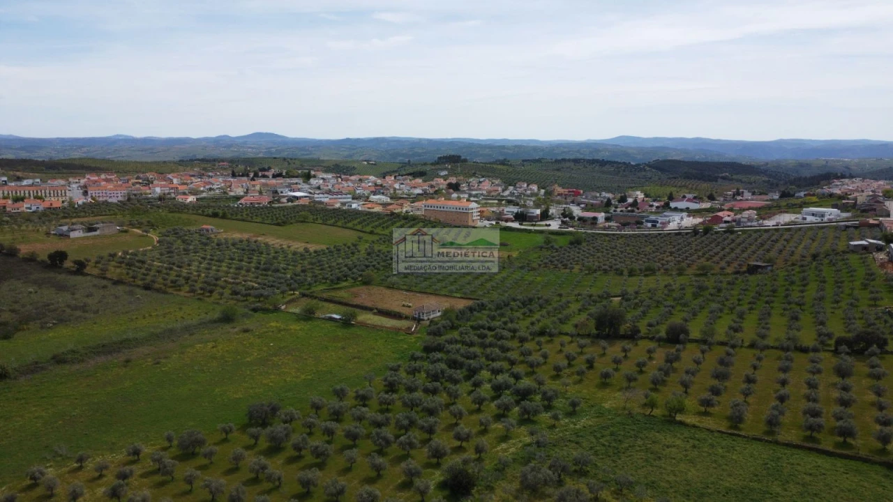 Quinta para Venda em Alfandega da Fe Foto 6