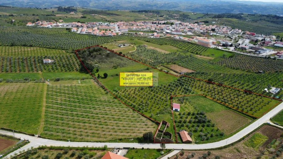 Quinta para Venda em Alfandega da Fe Foto 1