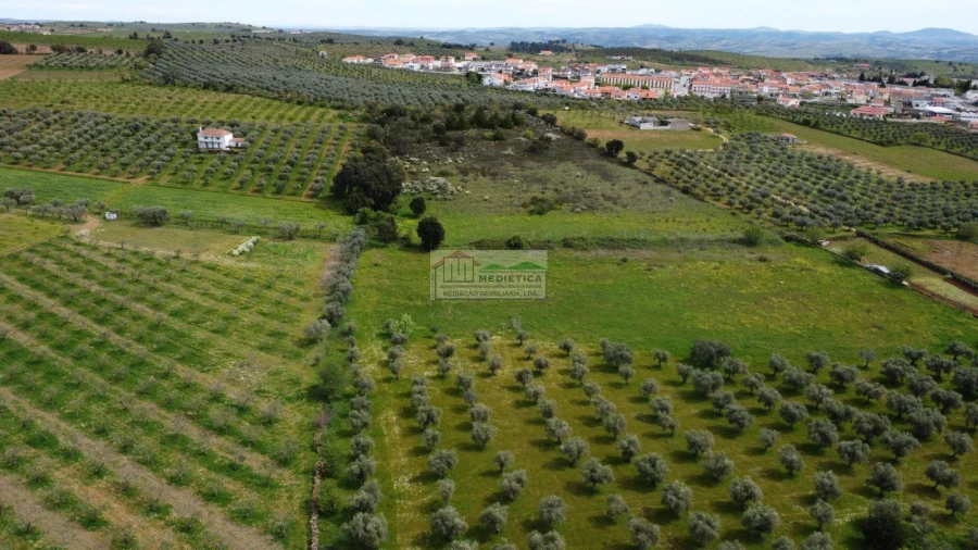 Quinta para Venda em Alfandega da Fe Foto 5