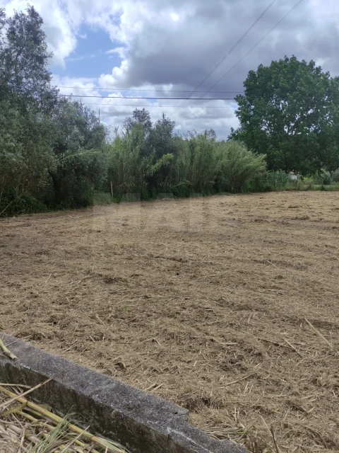 Terreno para Venda em Milagres