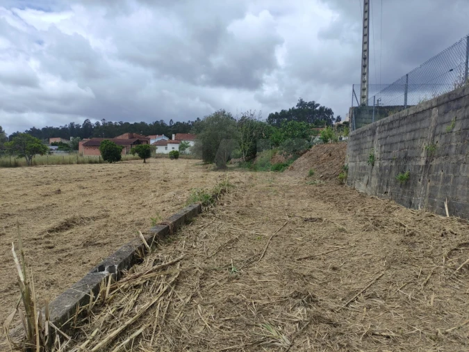 Terreno para Venda em Milagres Foto 8