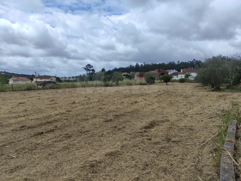 Terreno para Venda em Milagres Foto 6