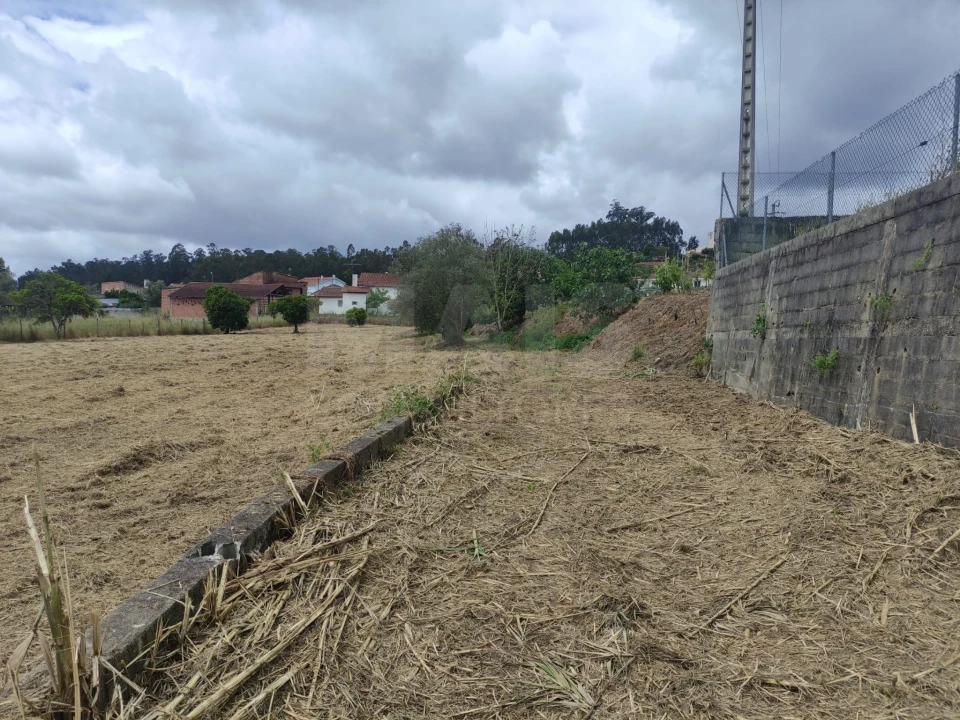 Terreno para Venda em Milagres Foto 8