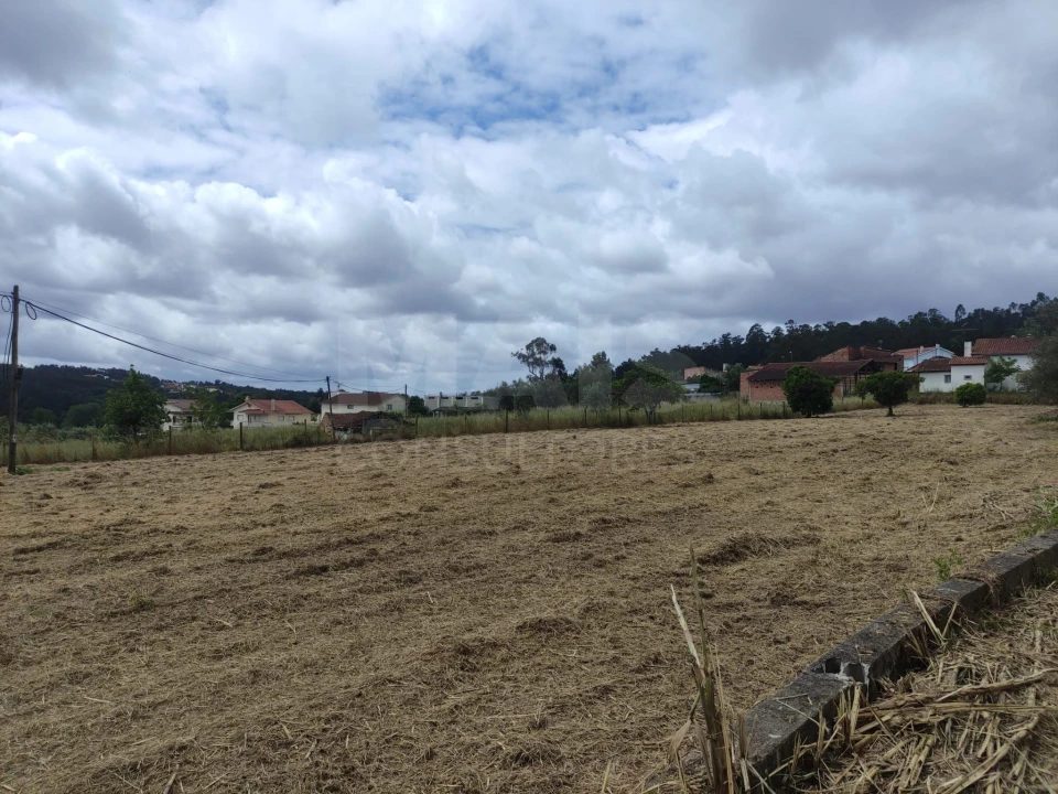 Terreno para Venda em Milagres Foto 5