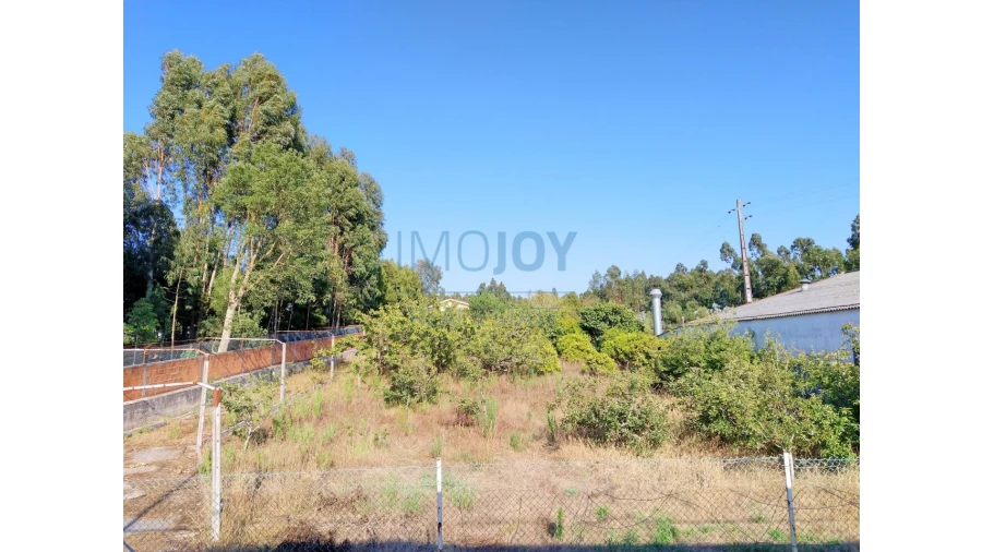 Terreno para Venda em Maceda Foto 2