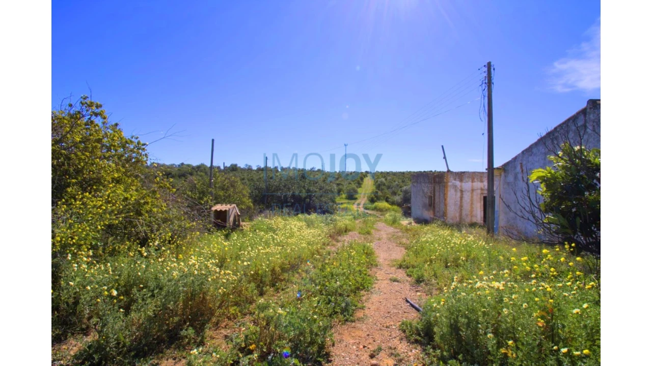 Terreno para Venda em Luz de Tavira e Santo Estêvão Foto 17