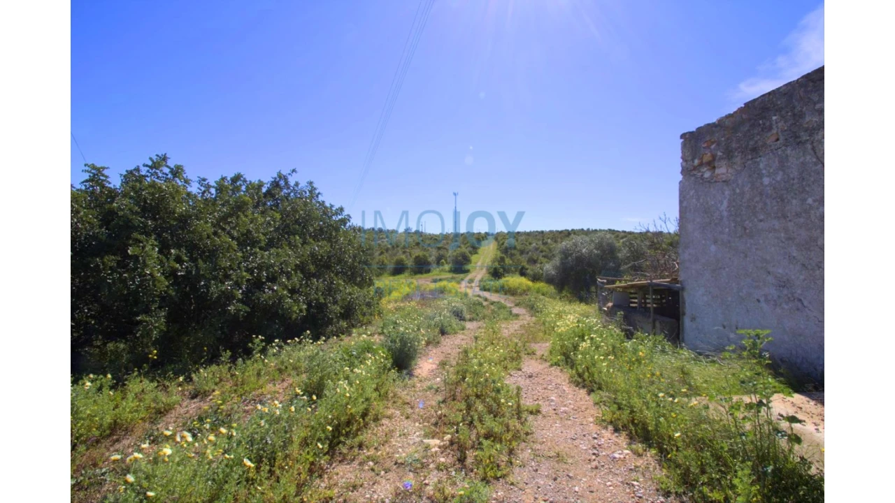 Terreno para Venda em Luz de Tavira e Santo Estêvão Foto 18