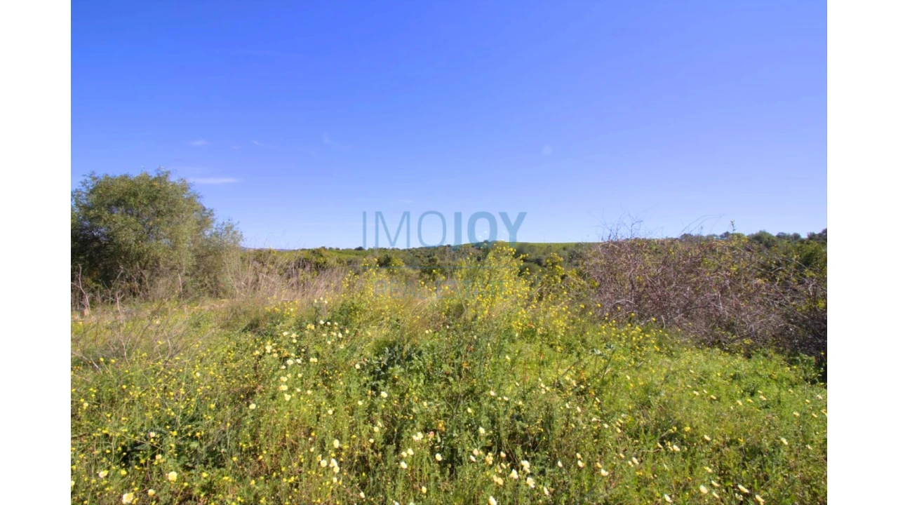 Terreno para Venda em Luz de Tavira e Santo Estêvão Foto 9