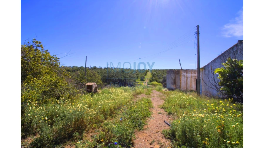 Terreno para Venda em Luz de Tavira e Santo Estêvão Foto 17