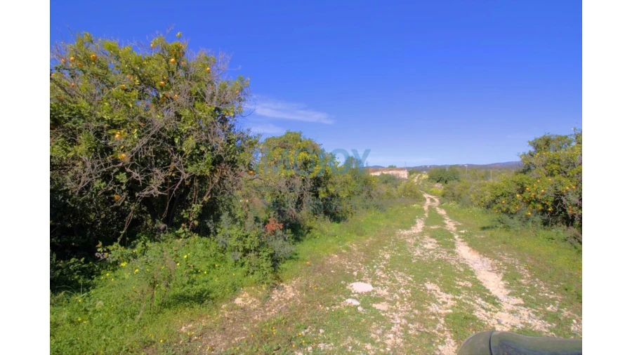 Terreno para Venda em Luz de Tavira e Santo Estêvão Foto 10