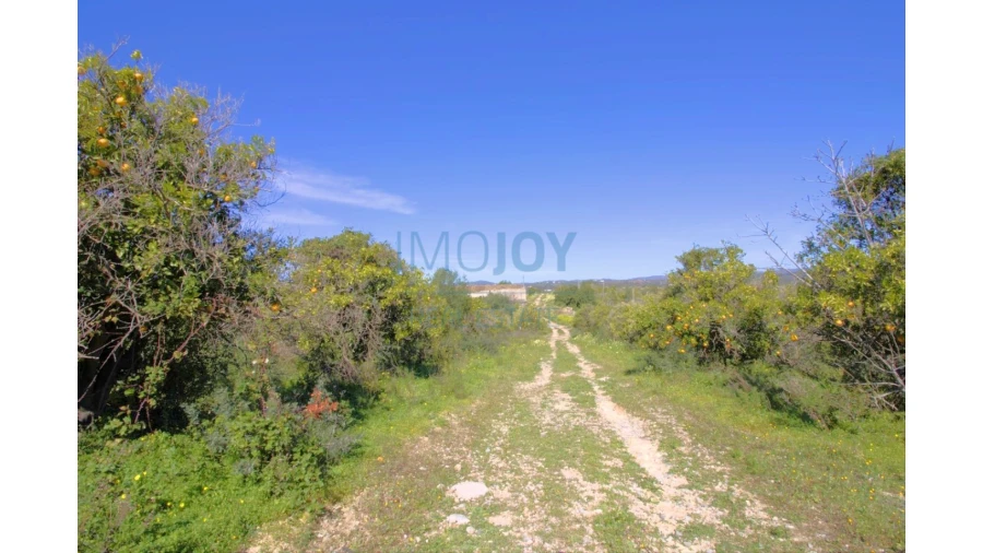 Terreno para Venda em Luz de Tavira e Santo Estêvão Foto 26