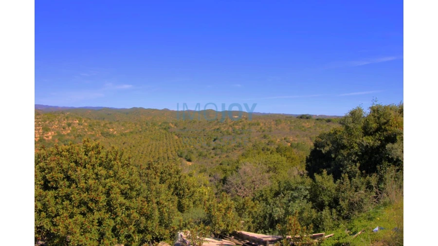 Terreno para Venda em Luz de Tavira e Santo Estêvão Foto 6