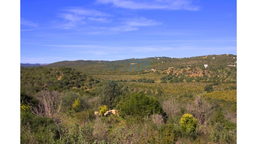 Terreno para Venda em Luz de Tavira e Santo Estêvão Foto 5