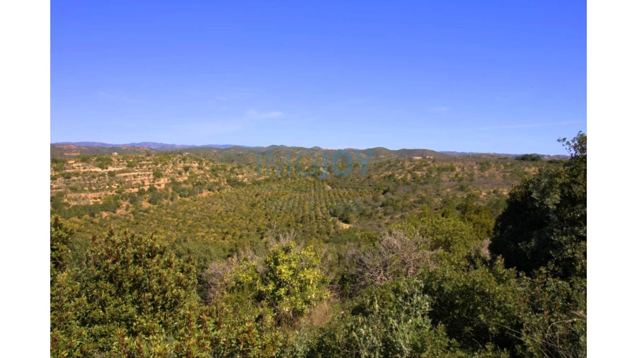 Terreno para Venda em Luz de Tavira e Santo Estêvão Foto 7