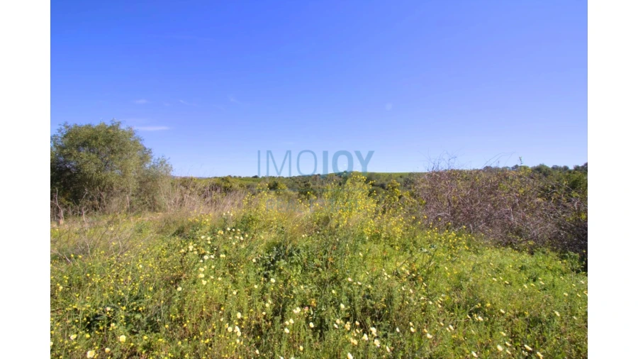 Terreno para Venda em Luz de Tavira e Santo Estêvão Foto 9