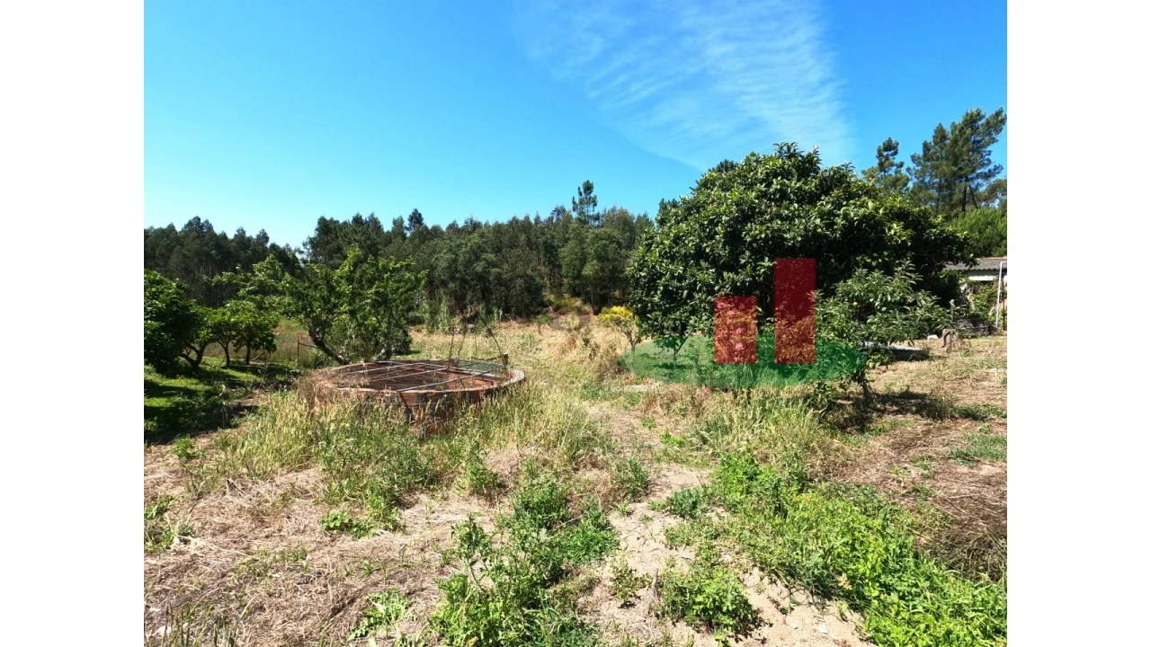 Moradia T1 para Venda em Asseiceira Foto 5