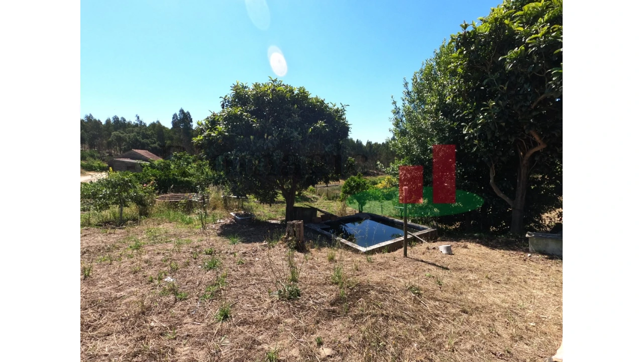 Moradia T1 para Venda em Asseiceira Foto 3