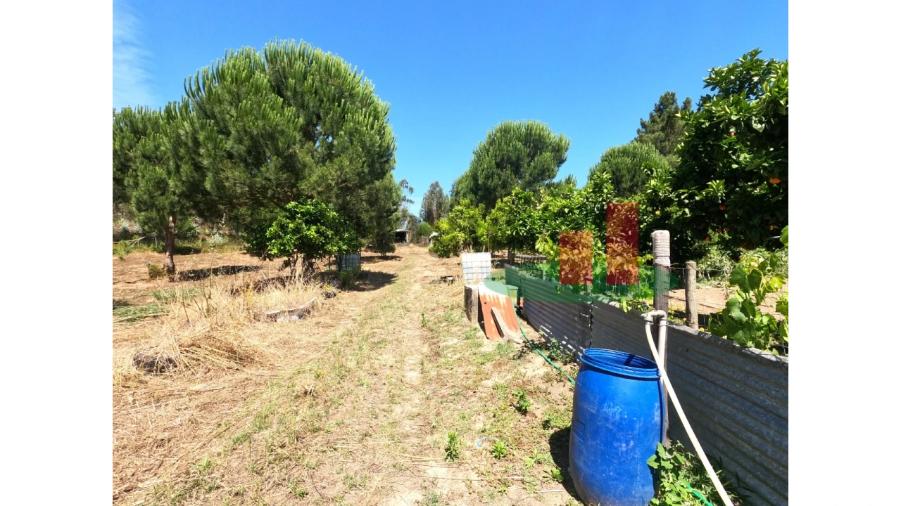 Moradia T1 para Venda em Asseiceira Foto 11