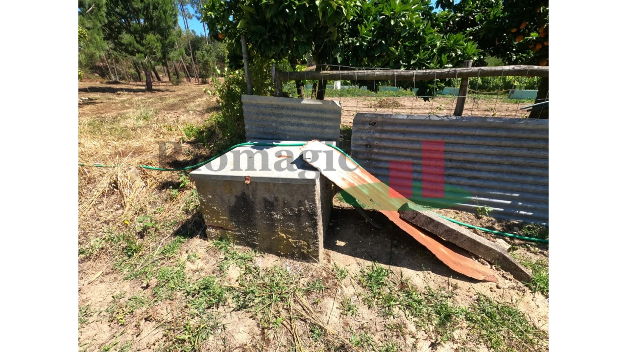 Moradia T1 para Venda em Asseiceira Foto 10