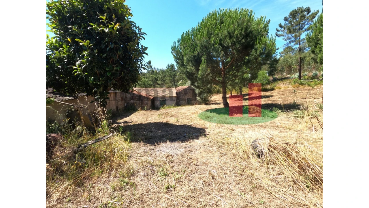 Moradia T1 para Venda em Asseiceira Foto 4