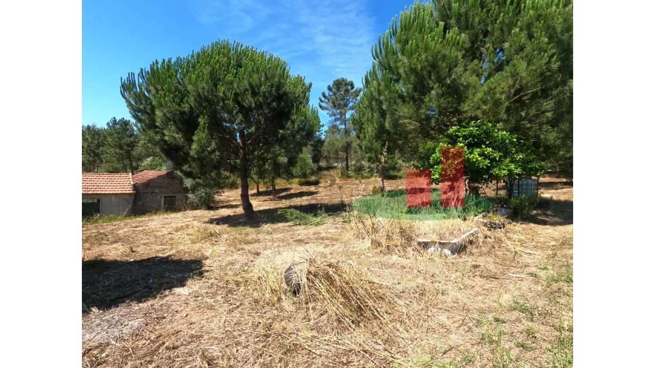 Moradia T1 para Venda em Asseiceira Foto 12