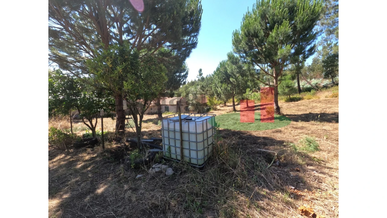 Moradia T1 para Venda em Asseiceira Foto 13