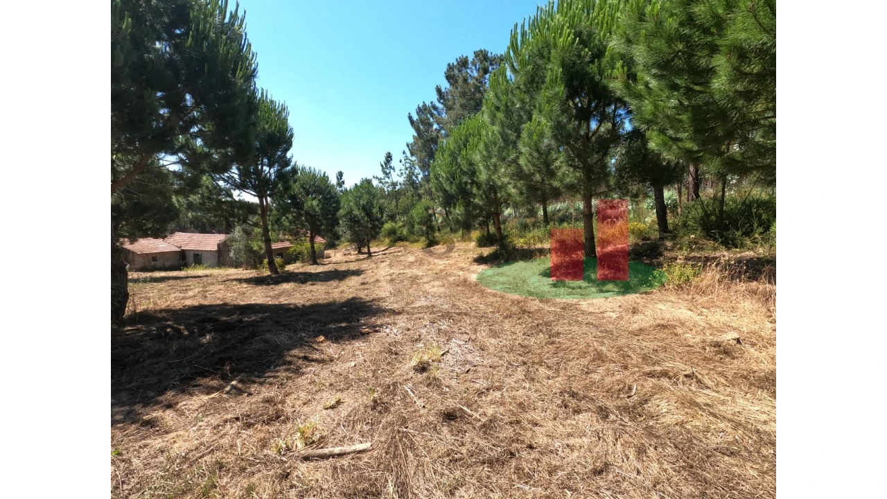 Moradia T1 para Venda em Asseiceira Foto 14