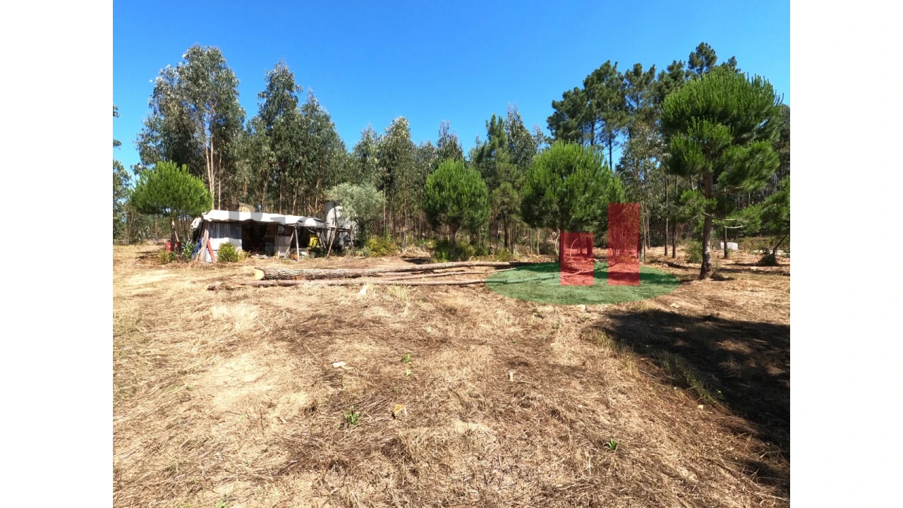 Moradia T1 para Venda em Asseiceira Foto 15