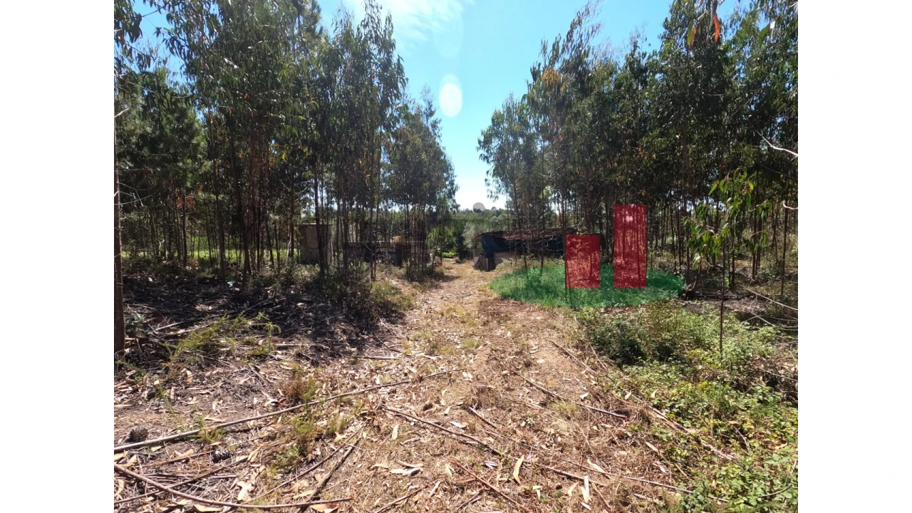 Moradia T1 para Venda em Asseiceira Foto 17