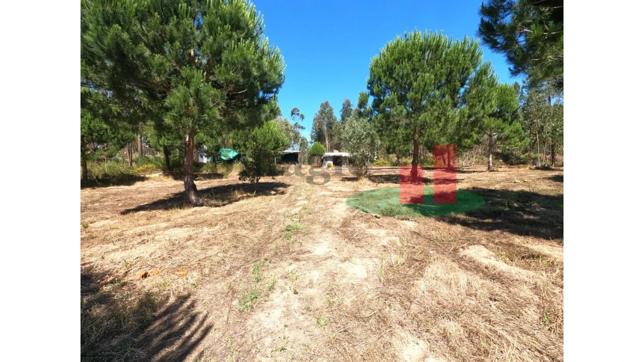 Moradia T1 para Venda em Asseiceira Foto 2