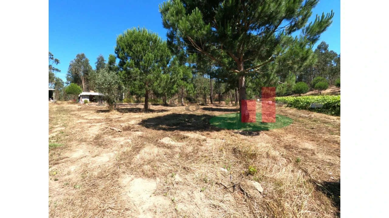 Moradia T1 para Venda em Asseiceira Foto 31