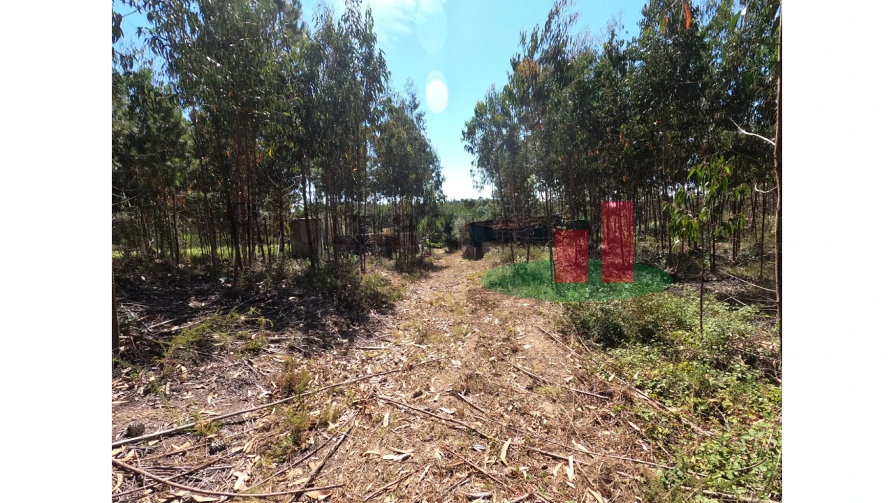 Moradia T1 para Venda em Asseiceira Foto 40