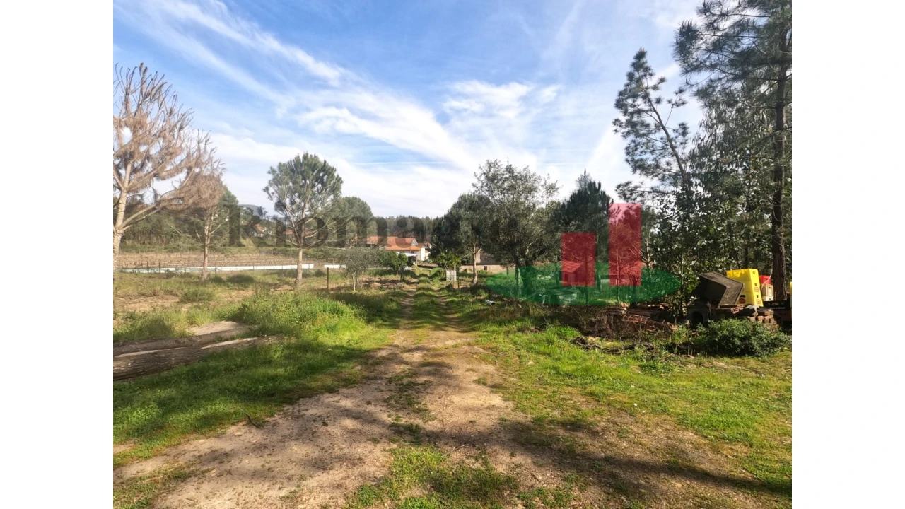 Moradia T1 para Venda em Asseiceira Foto 70