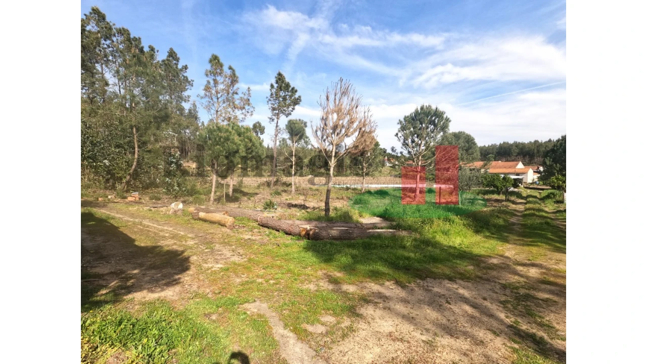 Moradia T1 para Venda em Asseiceira Foto 71