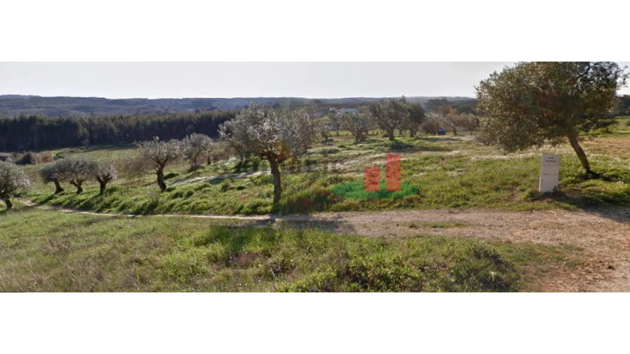 Terreno para Venda em São João da Ribeira e Ribeira de São João Foto 1